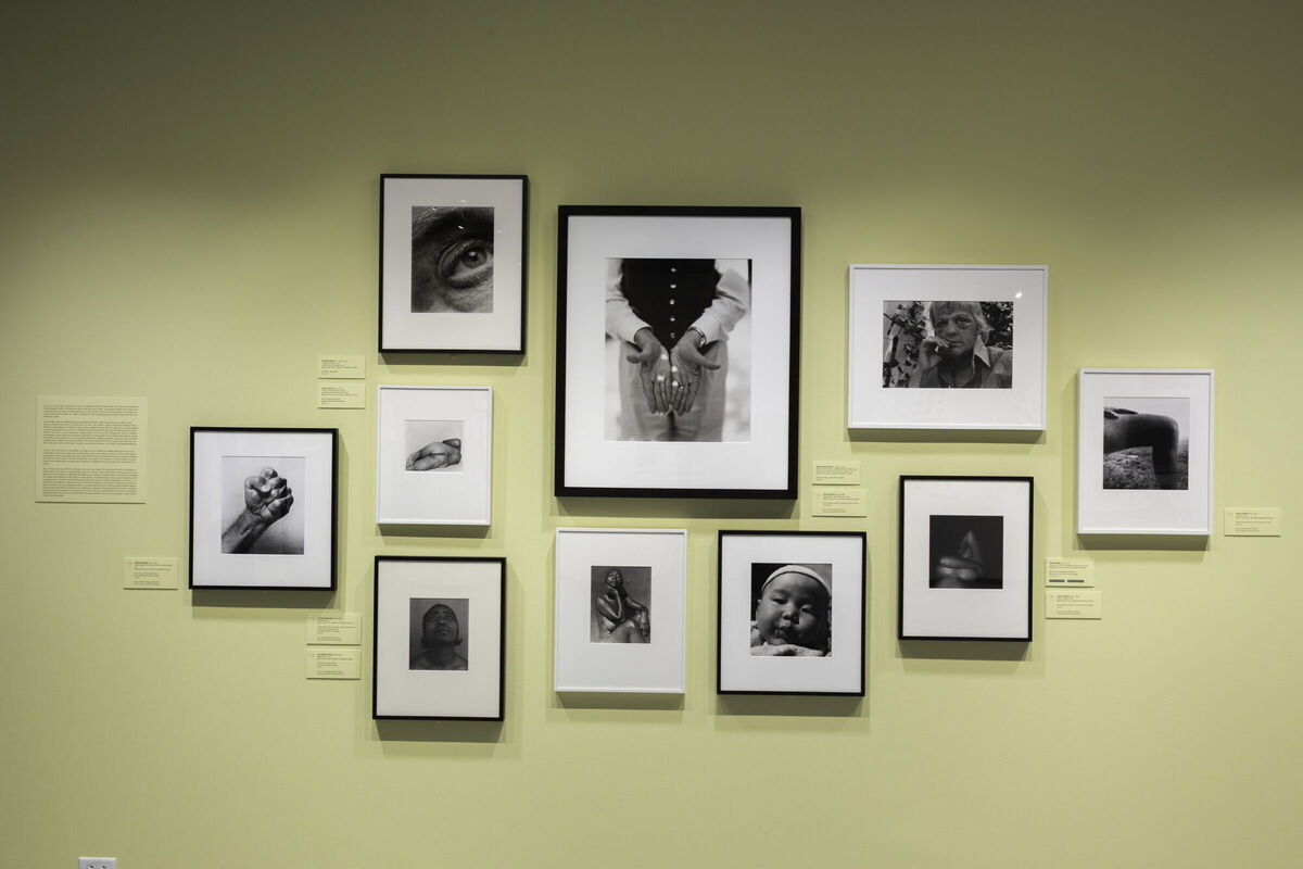 members-tour-picture-party-exhibition-ccp